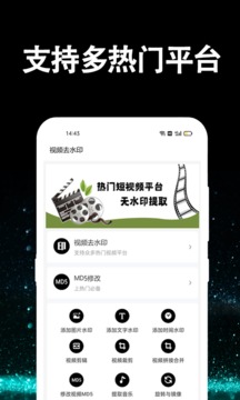 视频去水印