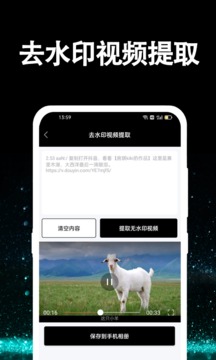 视频去水印