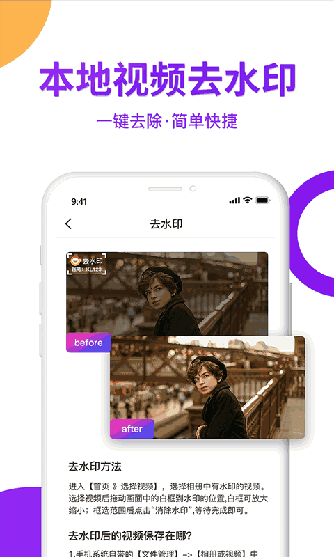 视频去水印大师