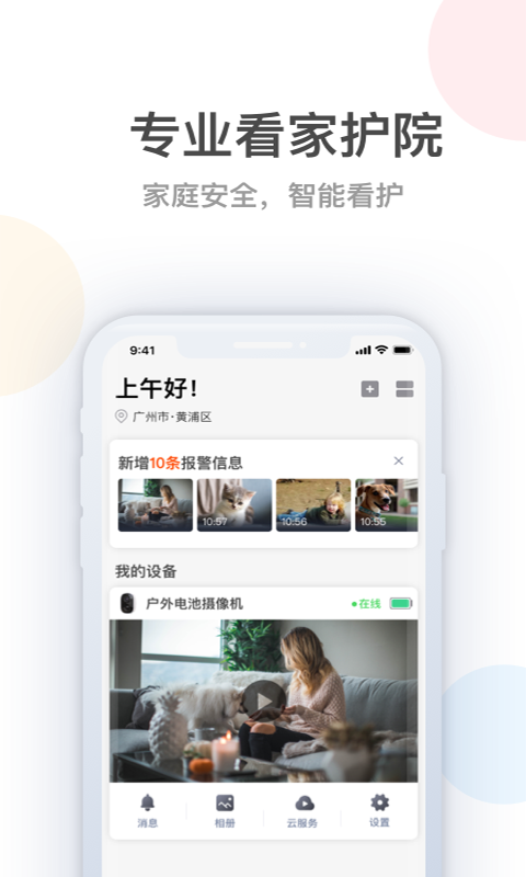 桔子柚子